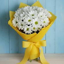 Букет цветов из:  Хризантемы в Пролетарском Ставропольского края