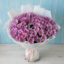 Букет цветов из:  Хризантемы в Пролетарском Ставропольского края