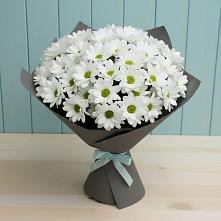 Букет цветов из:  Хризантемы в Пролетарском Ставропольского края