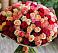Букет 101 Разноцветная роза в Пролетарском Ставропольского края