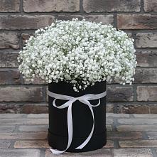Цветочная композиция из Гипсофила в шляпной коробке в Пролетарском Ставропольского края