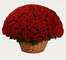 Премиум букет из: Розы в Пролетарском Ставропольского края