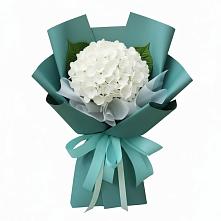 Букет цветов из:  Гортензия в Пролетарском Ставропольского края